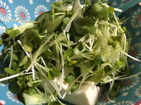 豆腐きゅうりカイワレのサラダ